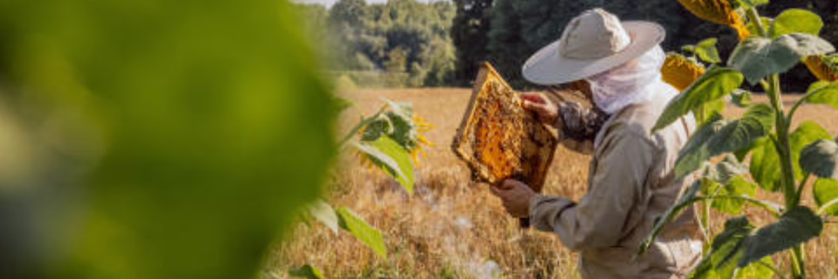 Bumblechutes USA Beekeepers